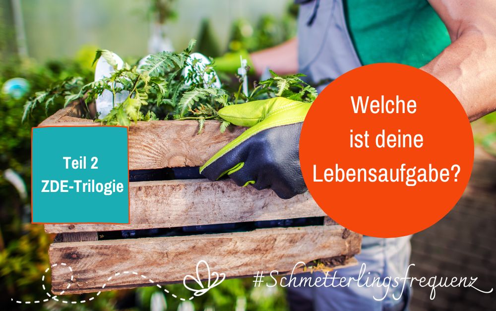 Passt dein ZDE zu deiner Arbeit? Teil 2 der ZDE-Trilogie