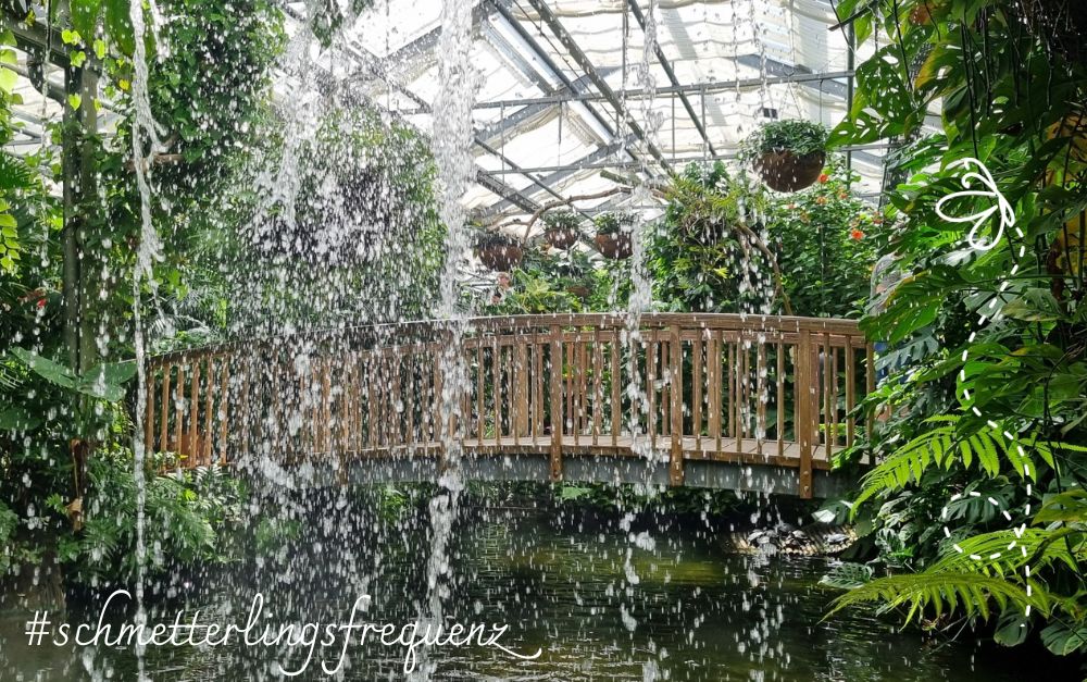 Ikigai und ZDE sprudeln Steg in einem großen Glashaus, davor Wasserfontänen, dahinter grüne Pflanzen