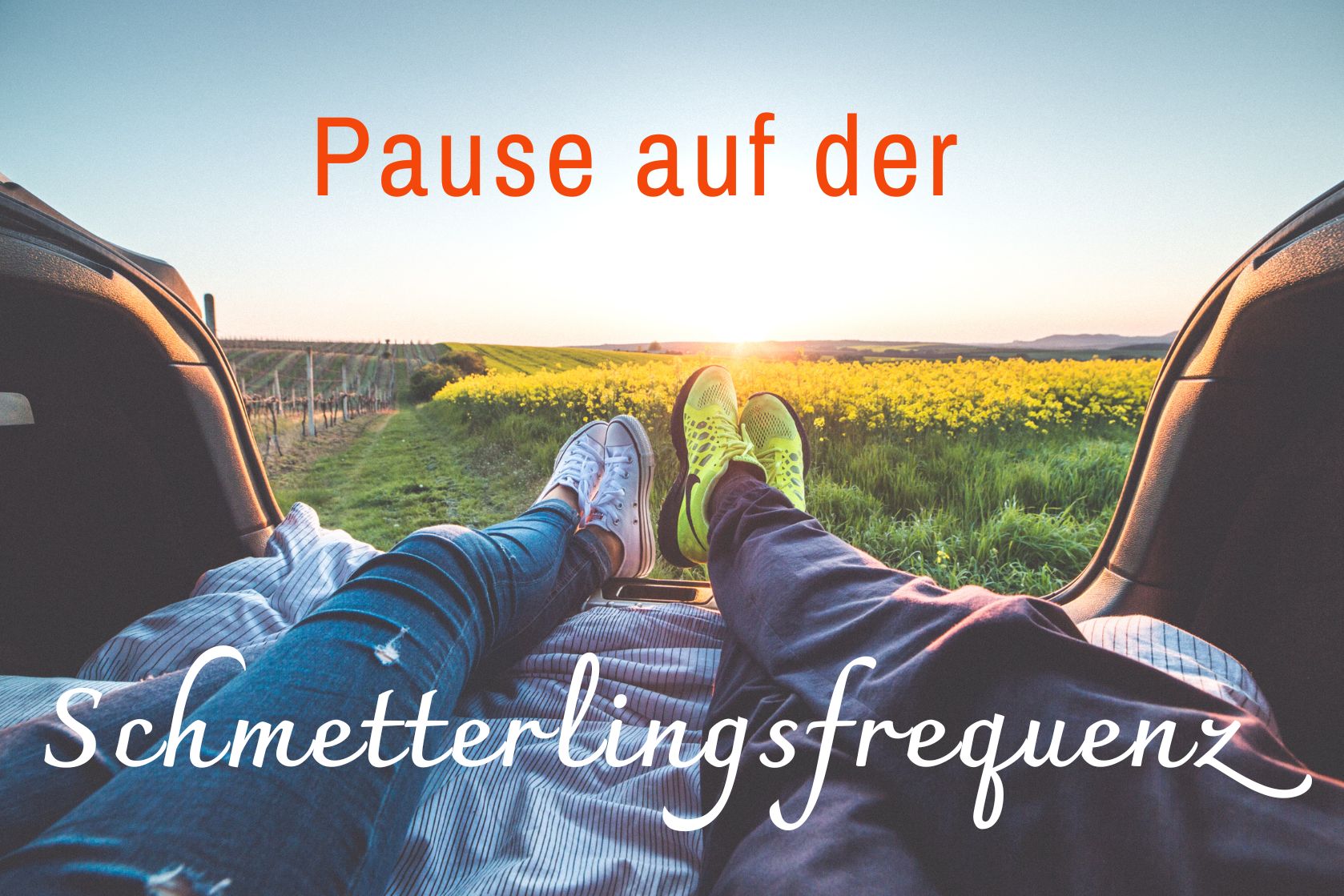 Pause auf der Schmetterlingsfrequenz Blick auf ein gelb blühendes Feld. Im Vordergrund 2 Paar Beine, die entspannt auf einem Pick-Up liegen und mit den Füßen Richtung Feld zeigen