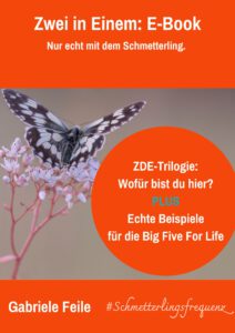 ZDE-Trilogie & BFFL