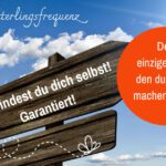 kurs zur selbstfindung